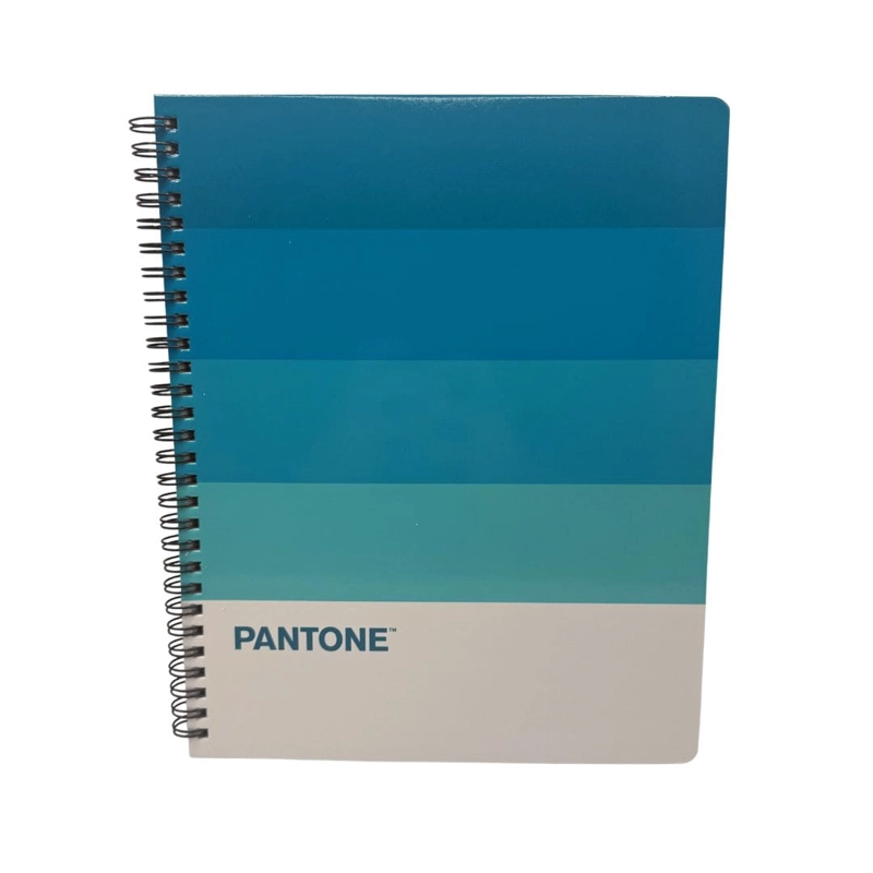 SET 10 CUADERNOS UNIVERSITARIOS 100 HOJAS CUADRICULADAS 7MM PANTONERA PANTONE - 5