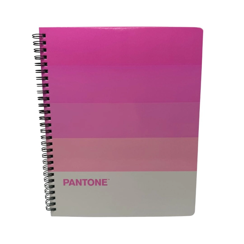 SET 10 CUADERNOS UNIVERSITARIOS 100 HOJAS CUADRICULADAS 7MM PANTONERA PANTONE - 6