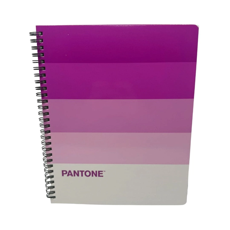 SET 10 CUADERNOS UNIVERSITARIOS 100 HOJAS CUADRICULADAS 7MM PANTONERA PANTONE - 7