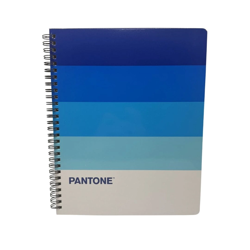 SET 10 CUADERNOS UNIVERSITARIOS 100 HOJAS CUADRICULADAS 7MM PANTONERA PANTONE - 8