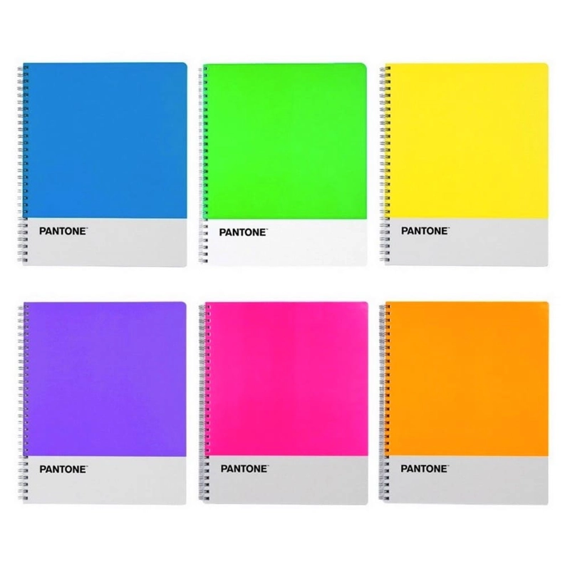SET 10 CUADERNOS UNIVERSITARIOS 100 HOJAS CUADRICULADAS 7MM FLUOR PANTONE - 2