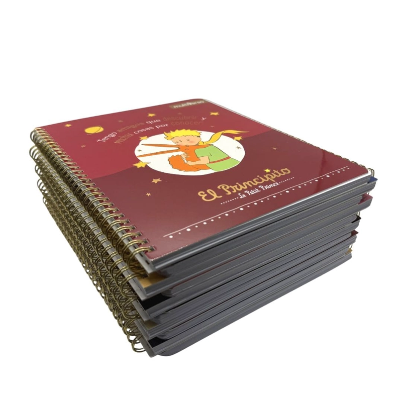 SET 10 CUADERNOS UNIVERSITARIOS 100 HOJAS CUADRICULADAS 7MM EL PRINCIPITO - 1