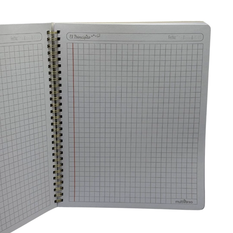 SET 10 CUADERNOS UNIVERSITARIOS 100 HOJAS CUADRICULADAS 7MM EL PRINCIPITO - 3