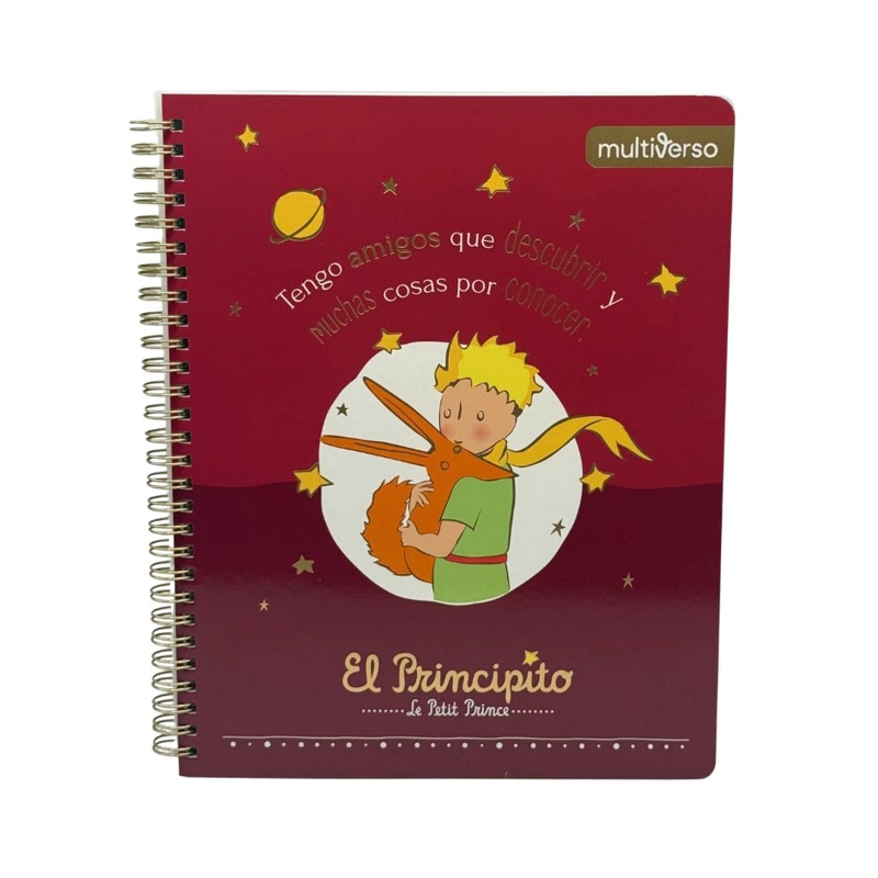 SET 10 CUADERNOS UNIVERSITARIOS 100 HOJAS CUADRICULADAS 7MM EL PRINCIPITO - 6