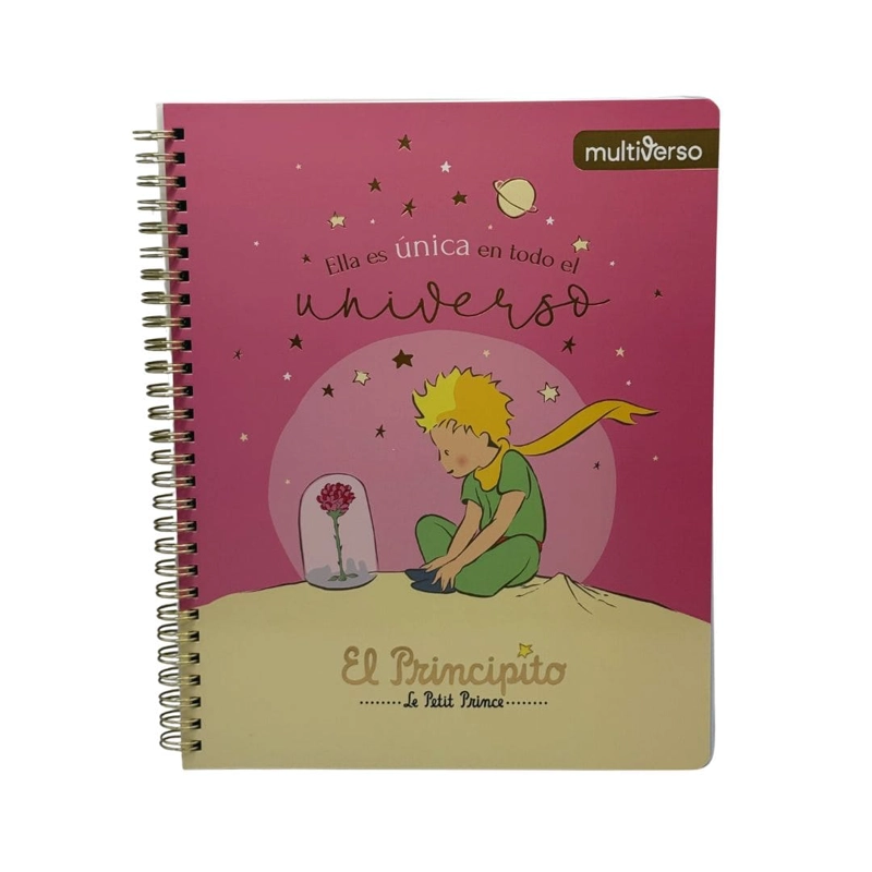 SET 10 CUADERNOS UNIVERSITARIOS 100 HOJAS CUADRICULADAS 7MM EL PRINCIPITO - 7