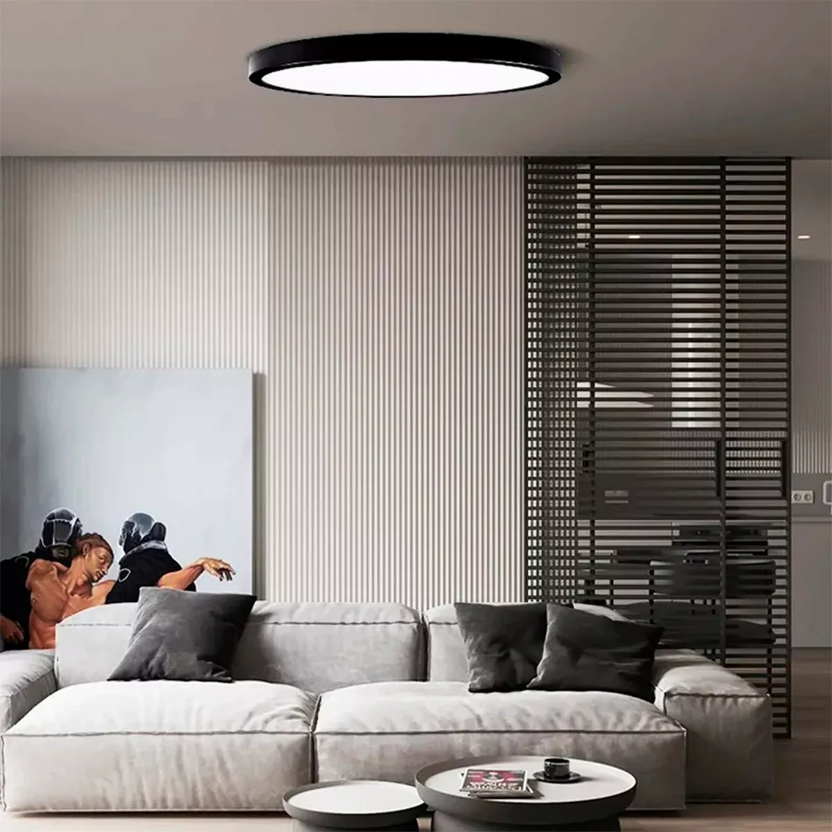 10 FOCO PLAFON LED REDONDO SOBREPUESTO 24W LUZ FRIA NIQUEL - 4