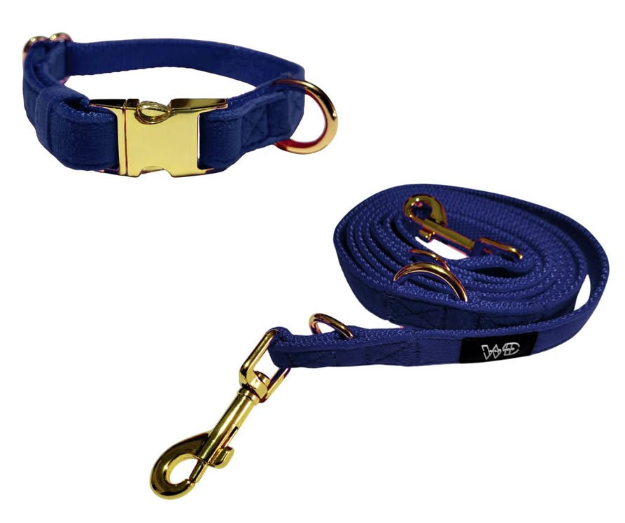 COLLAR PREMIUM Y CORREA PARA PERRO PEQUEÑO - 2