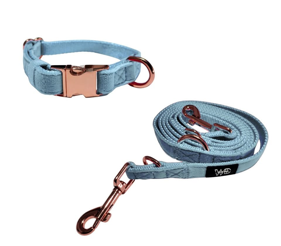 COLLAR PREMIUM Y CORREA PARA PERRO PEQUEÑO - 4