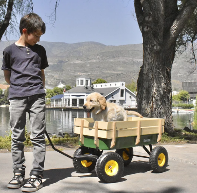 CARRITO KIDSCOOL WAGON VERDE - TC-1801 - 3