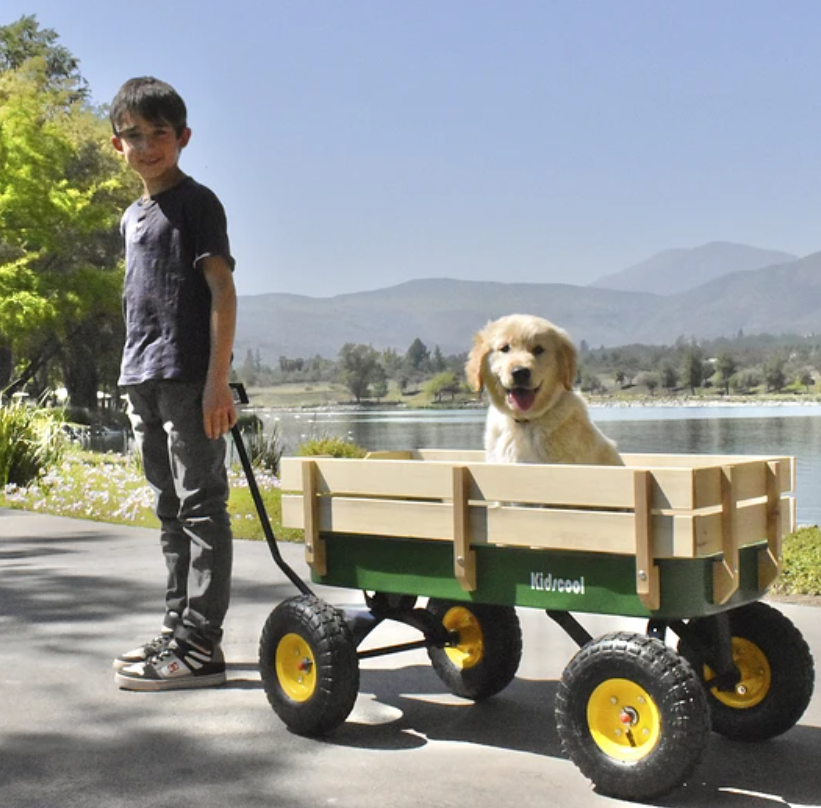 CARRITO KIDSCOOL WAGON VERDE - TC-1801 - 4