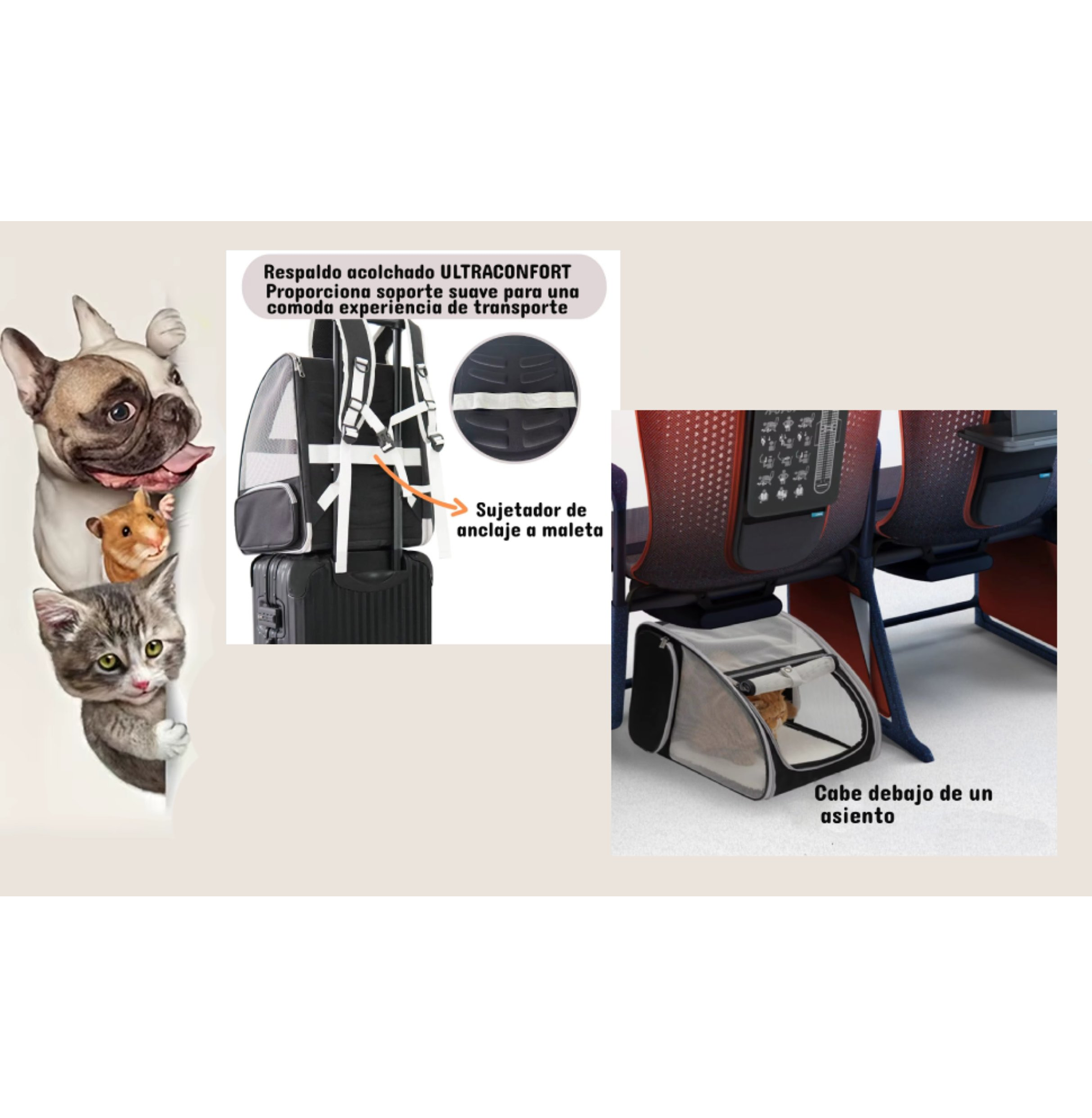 MOCHILA TRANSPORTE MASCOTA BLACK - 6