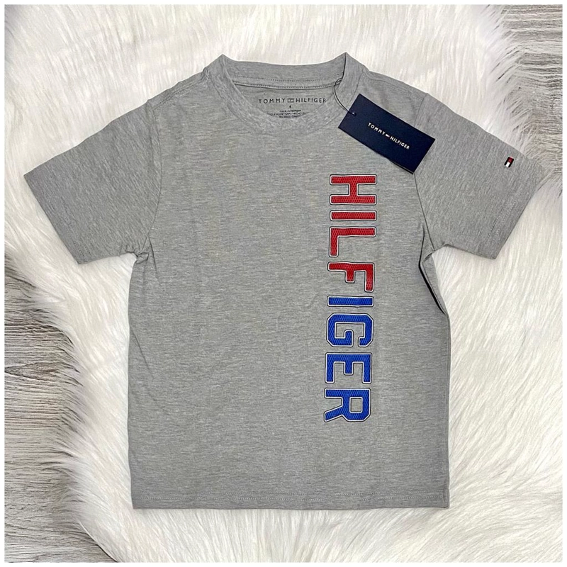 POLERA MANGA CORTA ALGODÓN NIÑO TOMMY HILFIGER GRIS - 2