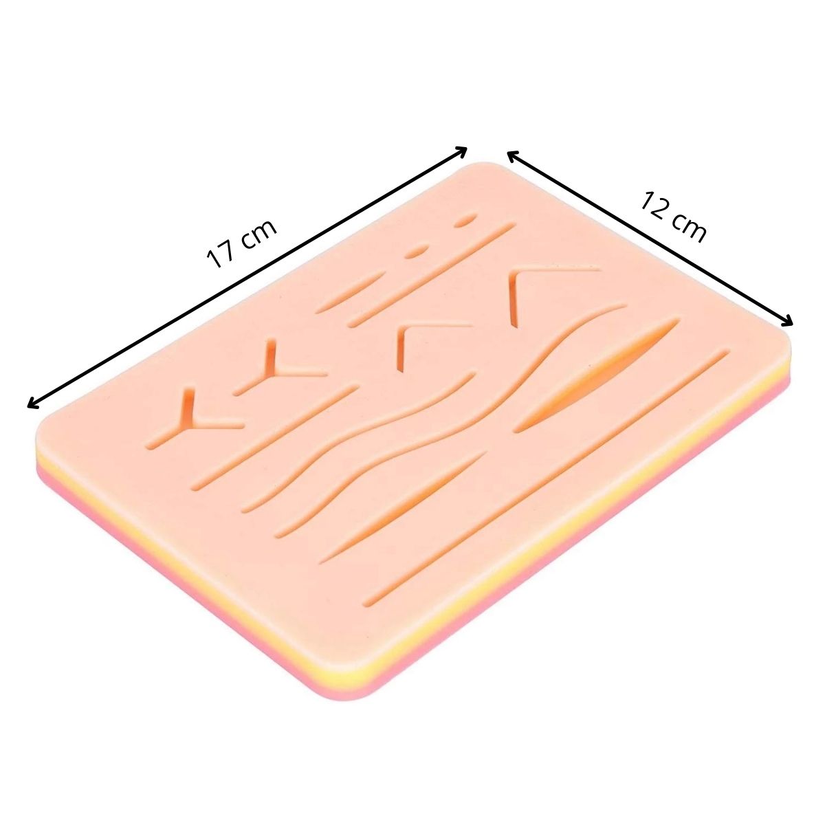 KIT PRÁCTICA SUTURA: PIEL + TIJERAS + PINZAS + SUTURAS - 3