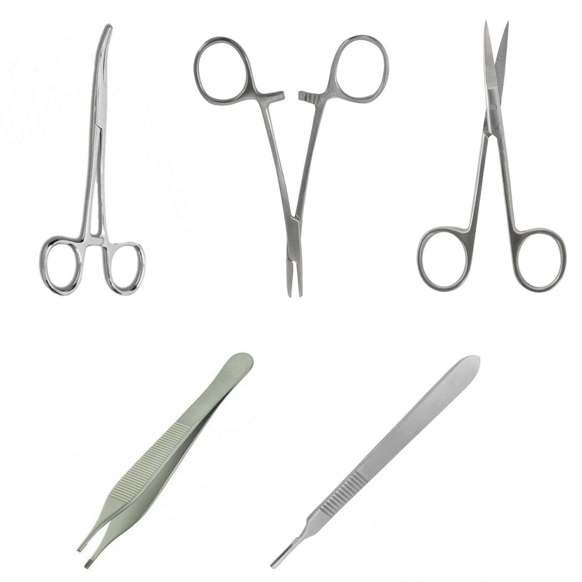 KIT PRÁCTICA SUTURA: PIEL + TIJERAS + PINZAS + SUTURAS - 4