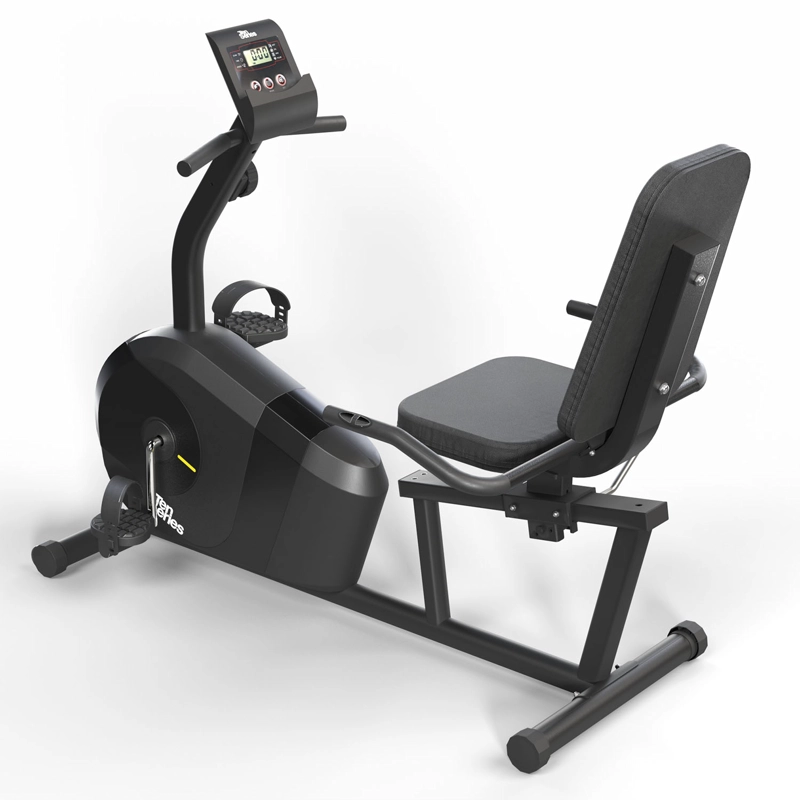 BICICLETA RECLINADA TEN SERIES M2000R - 5