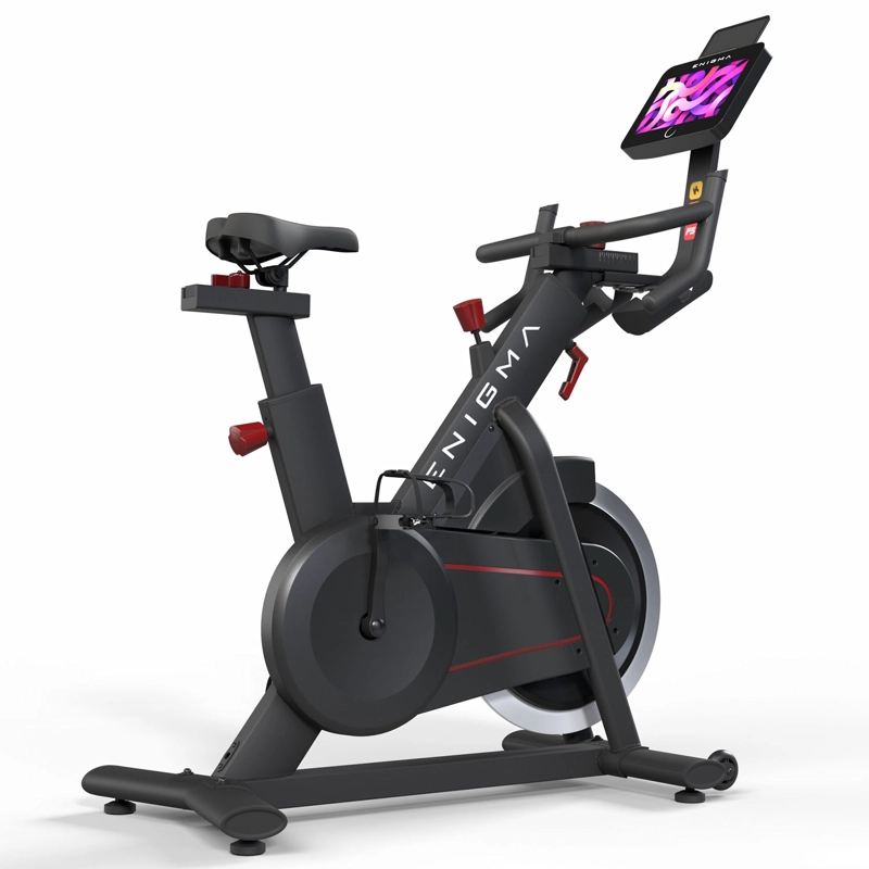 BICICLETA SPINNING ELECTROMAGNETICA ENIGMA RIDE - 2