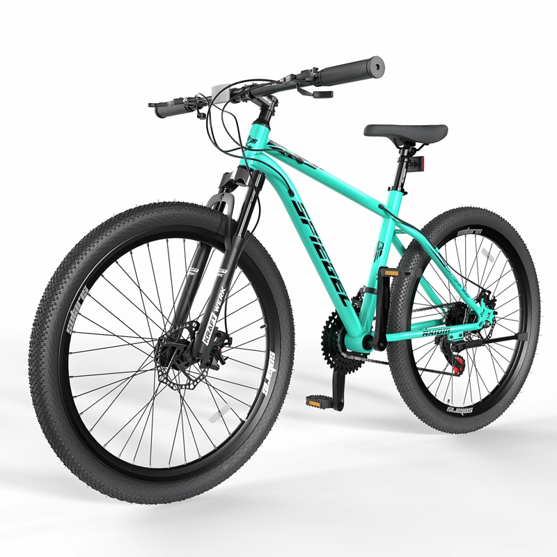 BICICLETA SPIEGEL ARO 29 DAYTONA 300 BEACH GREEN - 1