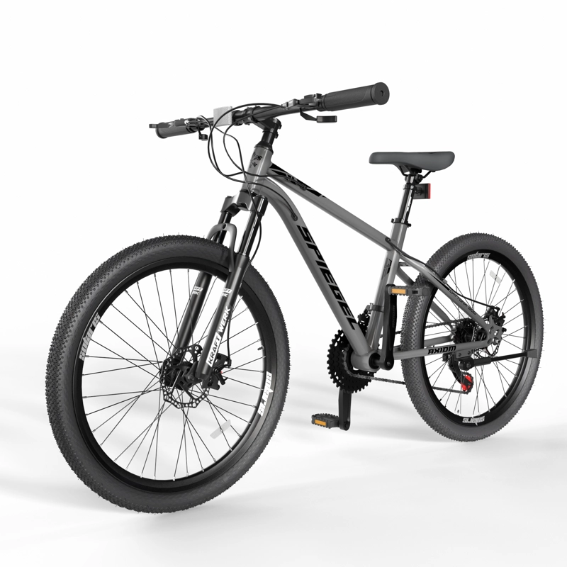 BICICLETA SPIEGEL ARO 20 DAYTONA 300 OBSIDIAN GRAY - 1