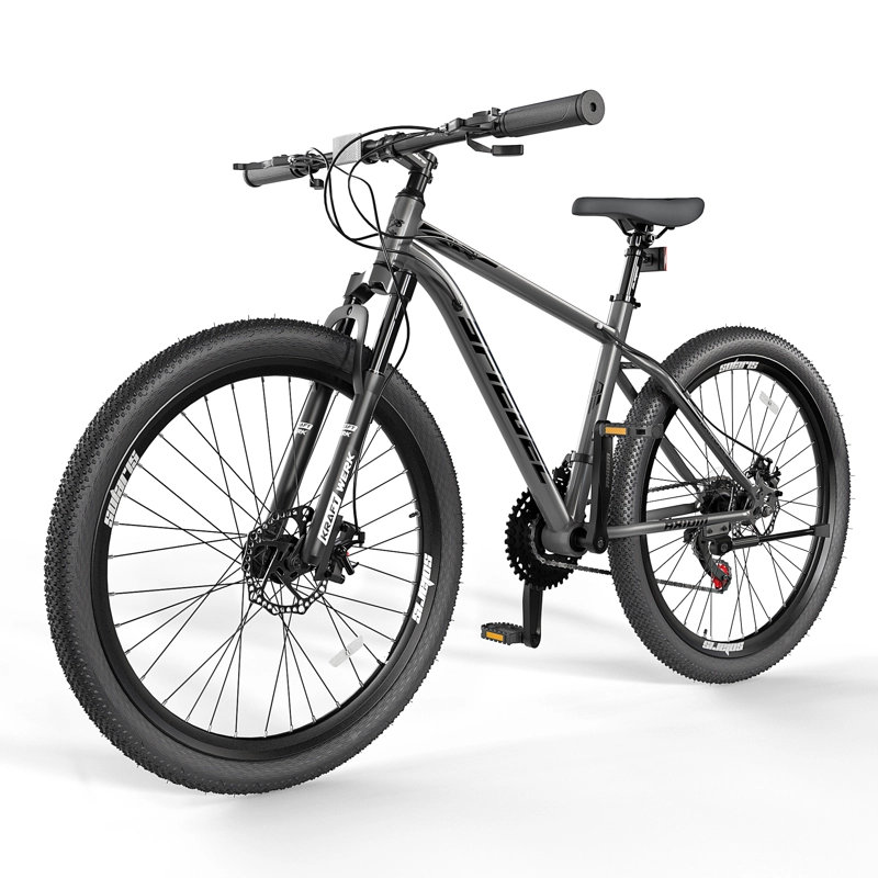 BICICLETA SPIEGEL ARO 29 DAYTONA 300 OBSIDIAN GRAY - 1
