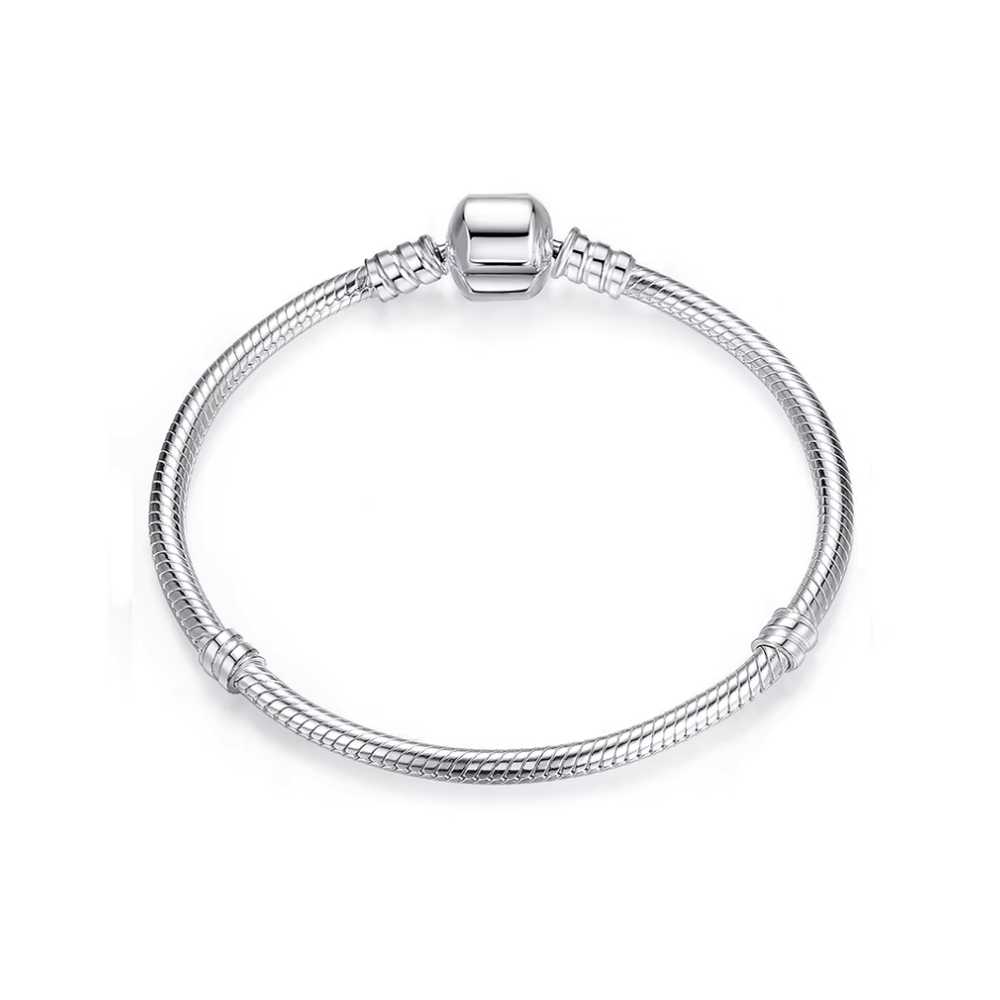 Pulsera Plateada Para Charms o Dijes 19 Cm - 1