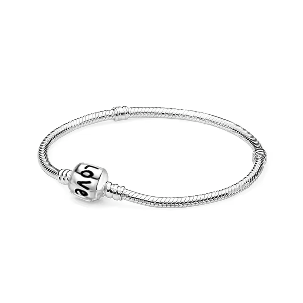 PULSERA PLATEADA DE ACERO PARA CHARMS 20 CM - 2