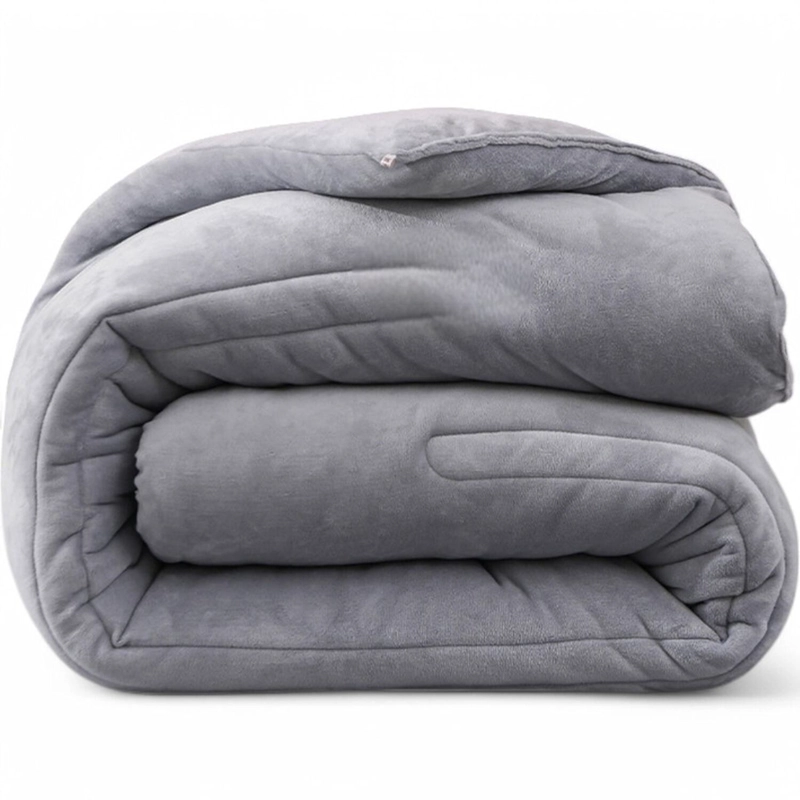 PLUMON PLUSH LISO CON CHIPORRO 2 PLAZAS + 2 FUNDAS ALMOHADA TAMAÑO 2 PLAZAS MORADO TF - 2