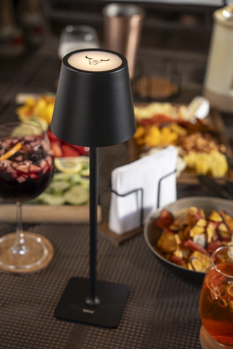 LAMPARA QUINCHO CON CARGADOR USB WAYU - 2