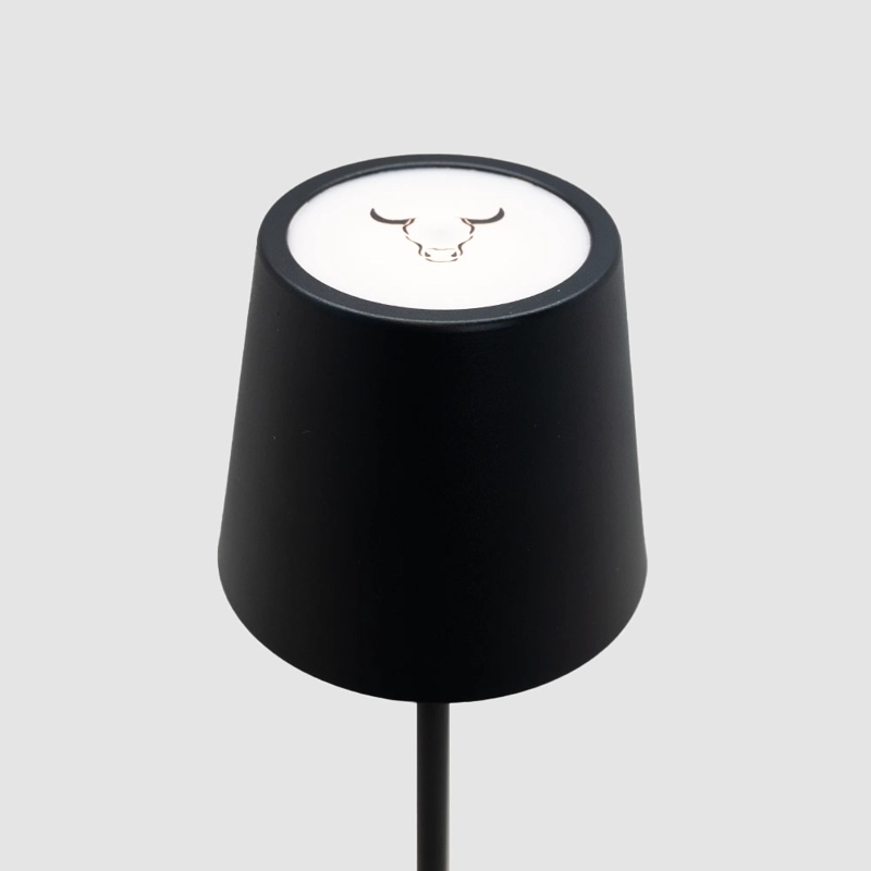 LAMPARA QUINCHO CON CARGADOR USB WAYU - 3