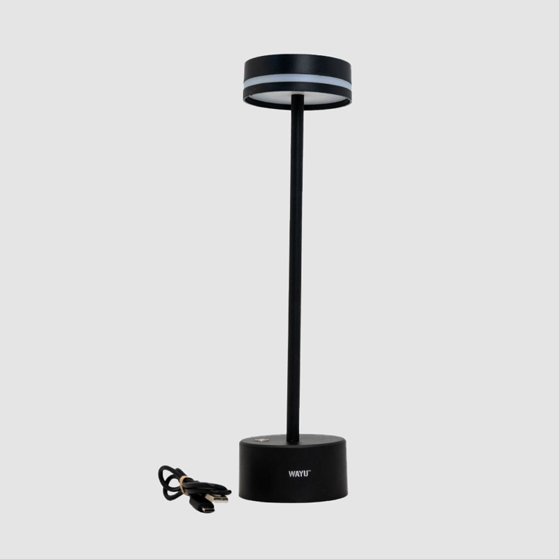 LAMPARA QUINCHO USB WAYU - 3