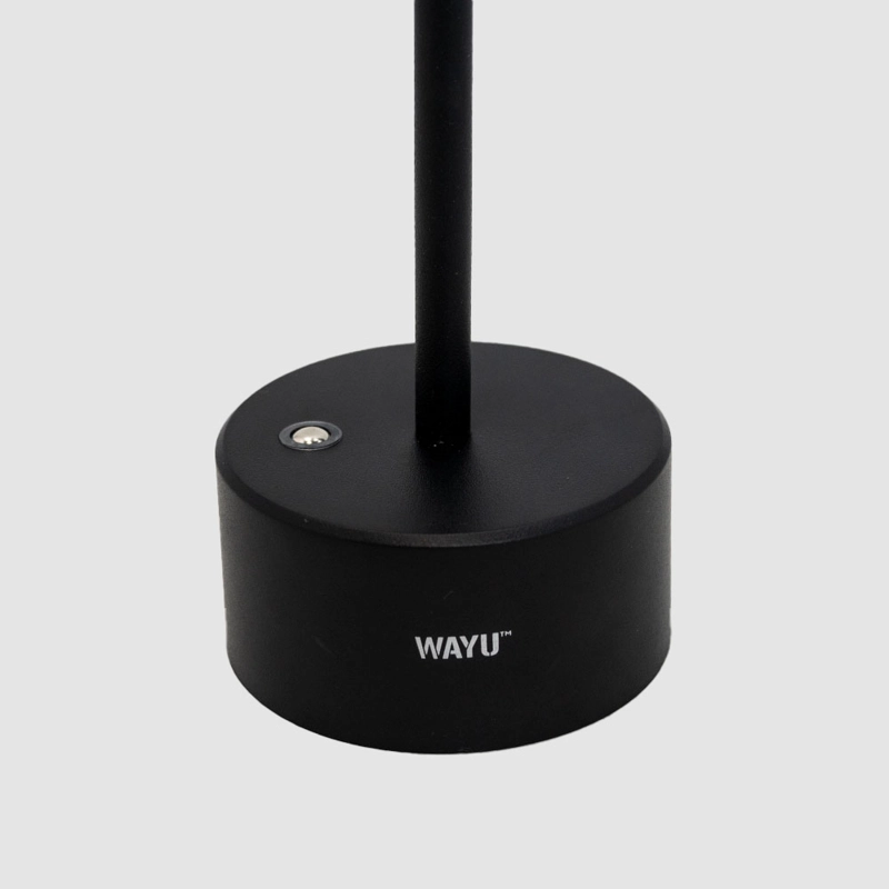 LAMPARA QUINCHO USB WAYU - 4