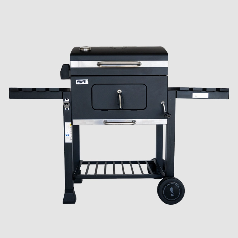 PARRILLA A CARBON CON SPIEDO - 1