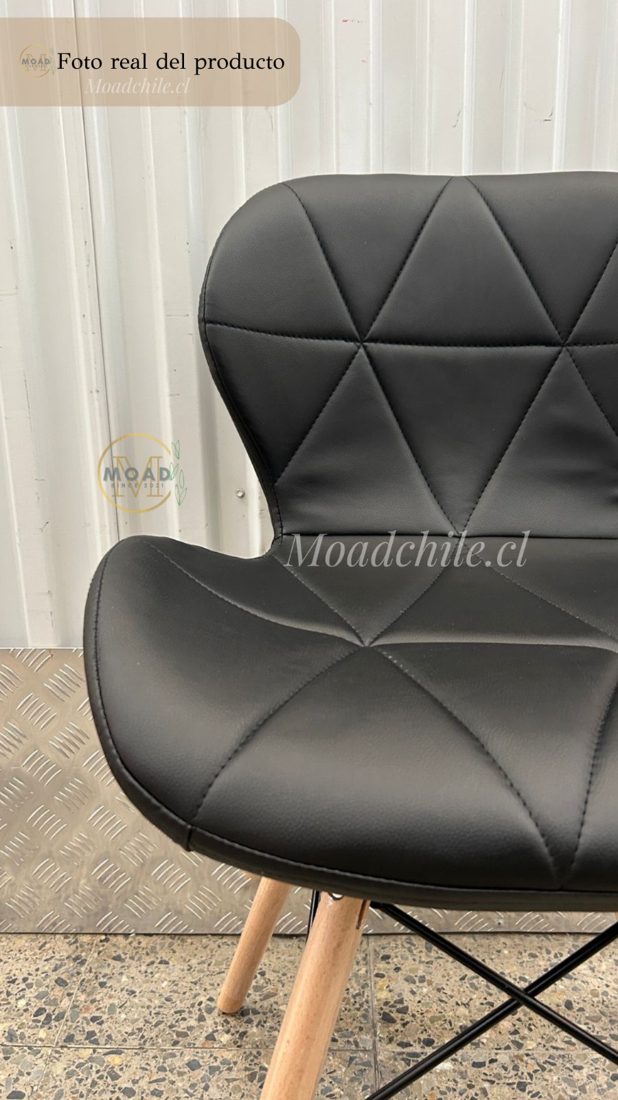 SILLA RADAR MARIPOSA VARIEDAD DE COLORES MOADCHILE - 2