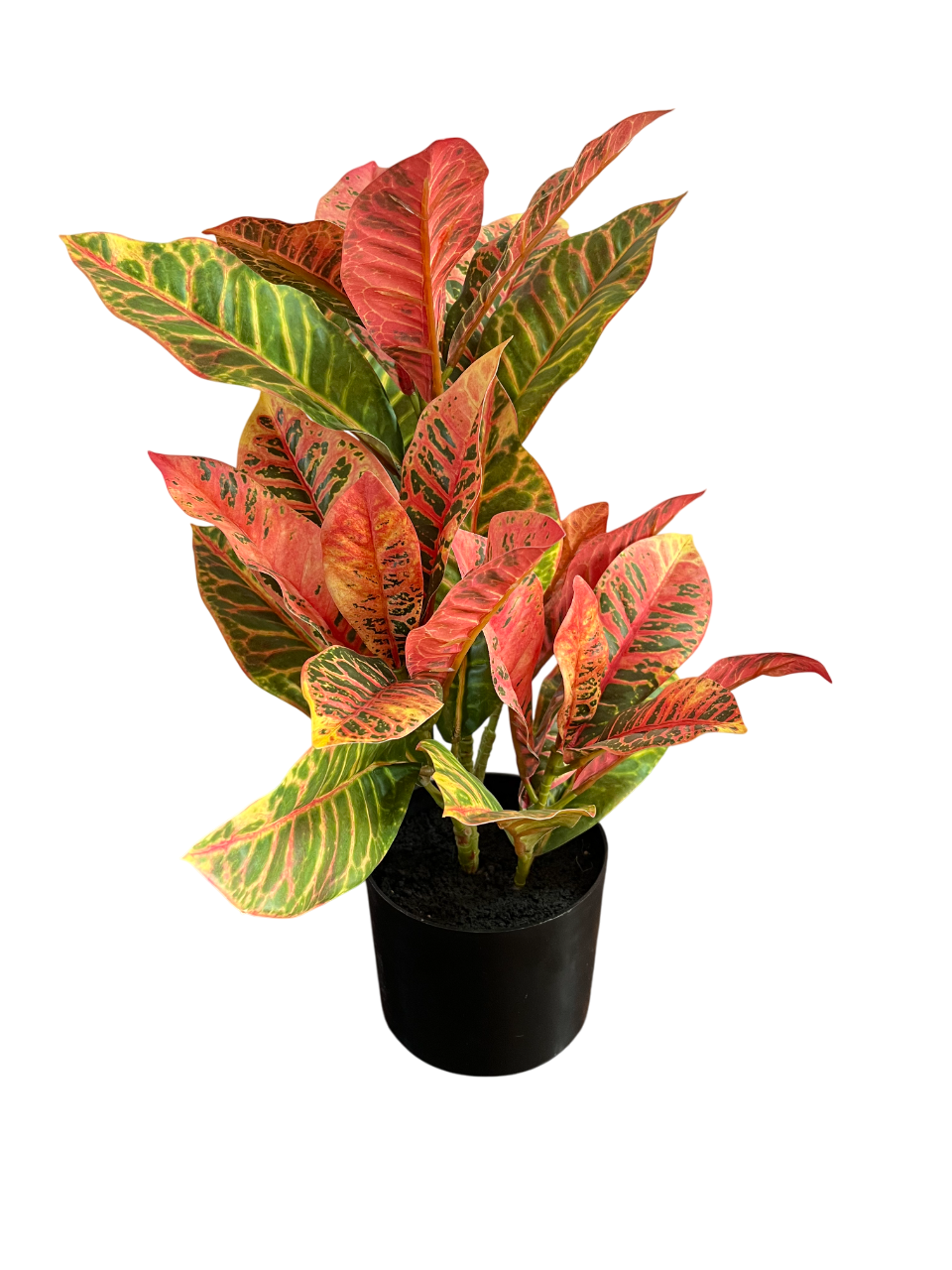 PLANTA ARTIFICIAL MACETA CROTON 55 CM - 1