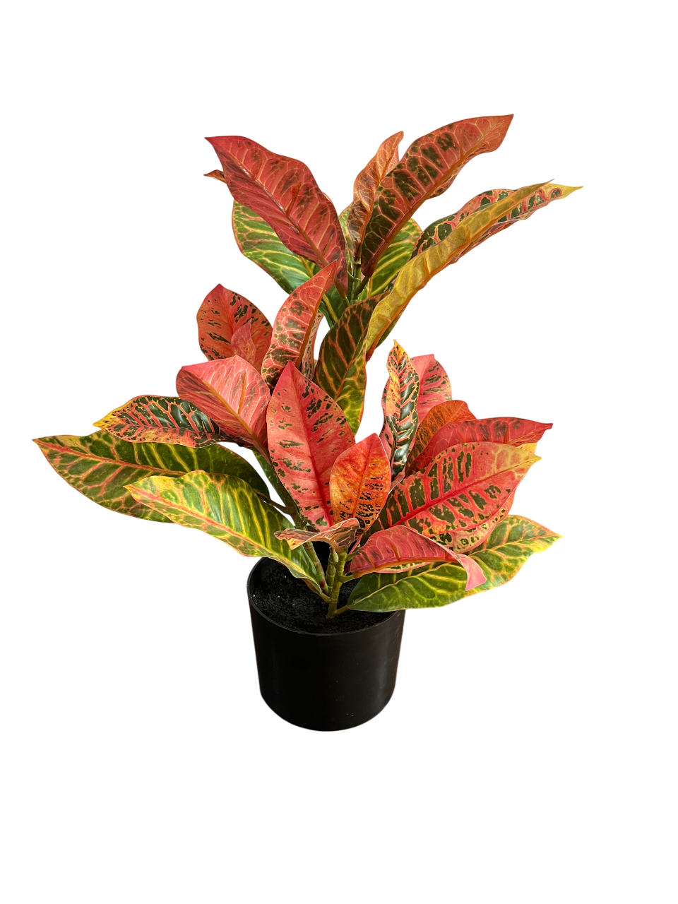 PLANTA ARTIFICIAL MACETA CROTON 55 CM - 2