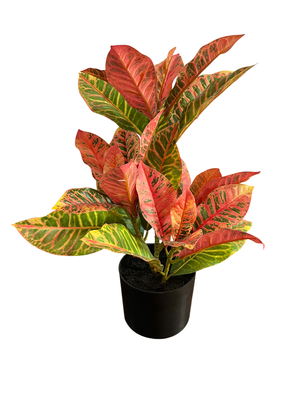 PLANTA ARTIFICIAL MACETA CROTON 55 CM - 3