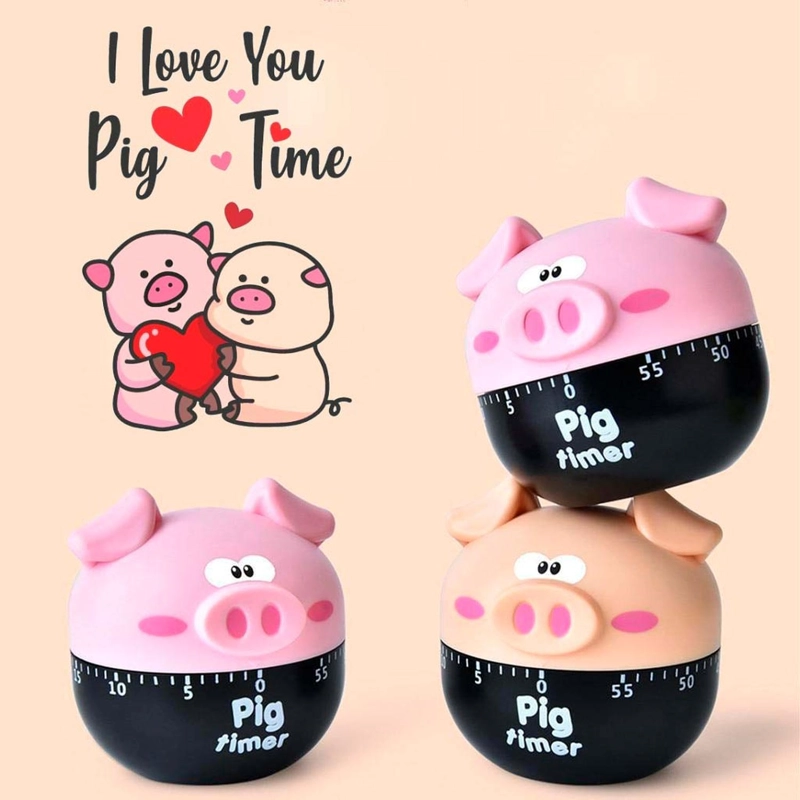 TIMER CHANCHO COCINA RELOJ TEMPORIZADOR A CUERDA - 5