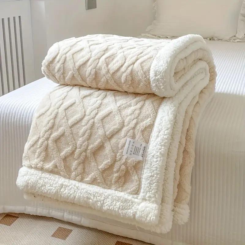 FRAZADA HOMESTORE CHIPORRO 230 X 200 CM BEIGE - 3
