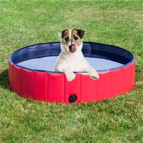 PISCINA PERROS VERANO PISCINA MASCOTAS BAÑERA PLEGABLE 80X30 - 1
