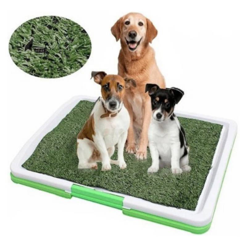 BAÑO ECOLÓGICO PERRO MASCOTAS ECOLÓGICO 62X48X6CM - 1