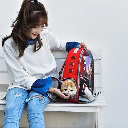 BOLSO TRANSPORTADOR ACERO PERROS GATOS MOCHILA TRANSPARENTE - 1