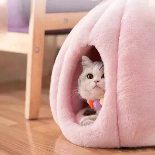 CASA ALGODÓN PERROS GATOS IGLU CALABAZA ROEDORES TALLA S - 1