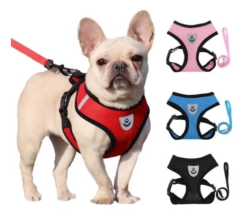 ARNÉS PECHERA TRANSPIRABLE CON CORREA PERROS GATOS MASCOTAS S - 1