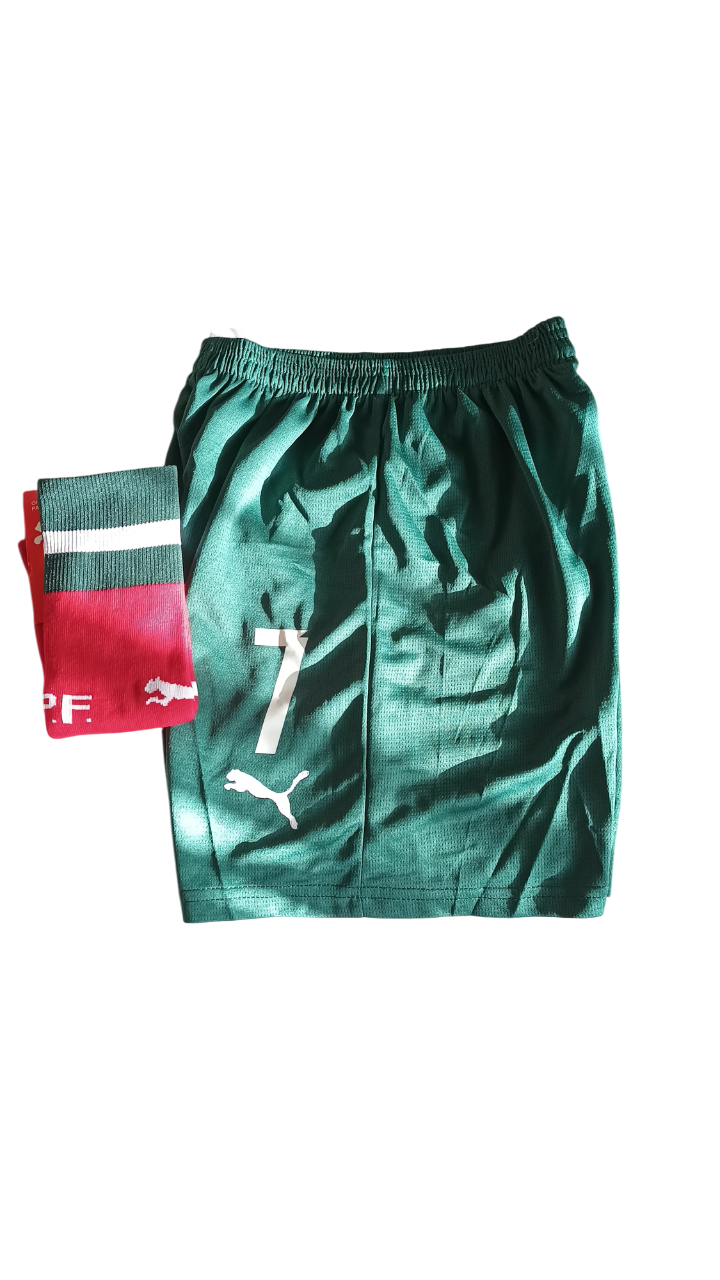 CONJUNTO NIÑOS PORTUGAL RONALDO 25 26 CAMPEON DE LAS NACIONES - 6