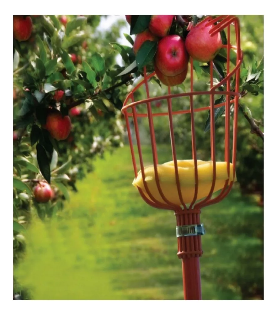 RECOLECTOR DE FRUTA TIPO CANASTILLO S/MANGO TRUPER (FRUT) - 3