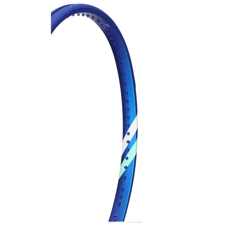 RAQUETA TECNIFIBRE T-FIGHT ID 100 - 300GR - 2