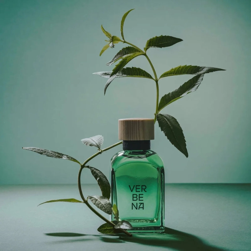 PERFUME ADOLFO DOMINGUEZ AGUA FRESCA VERBENA HOMBRE EDT 120ML - 3