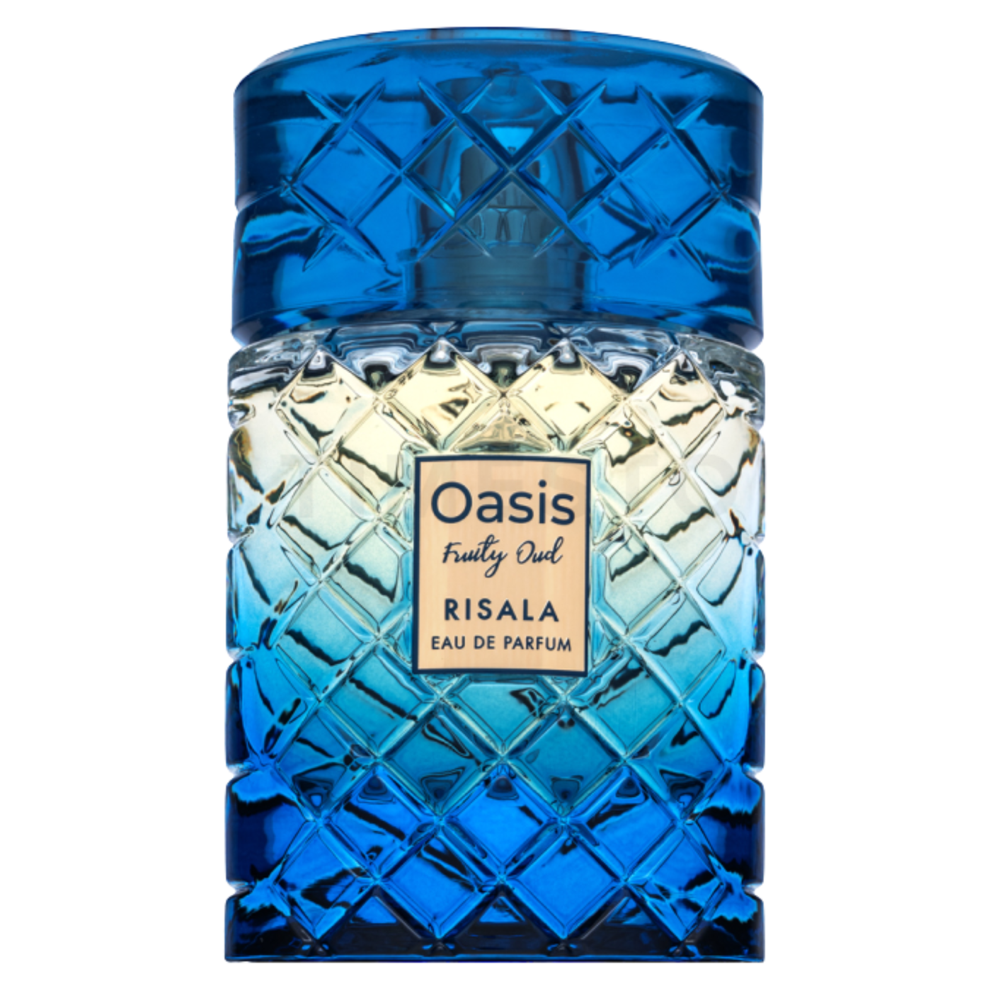 RISALA OASIS FRUITY OUD EDP 100ML UNISEX - 2