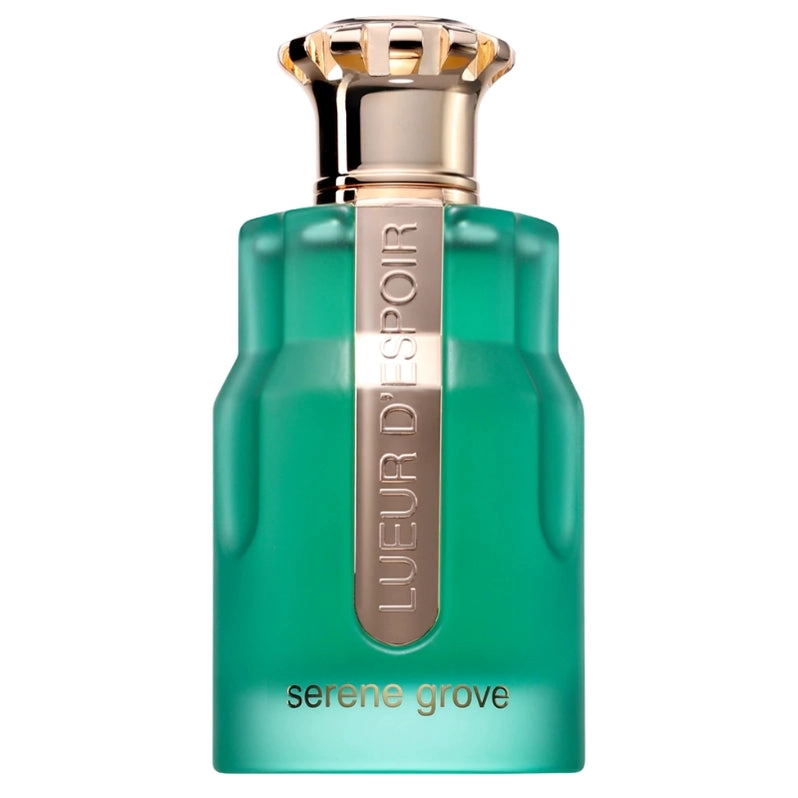 PARIS CORNER EMIR LUEUR D ESPOIR SERENE GROVE EDP 100 ML - 2