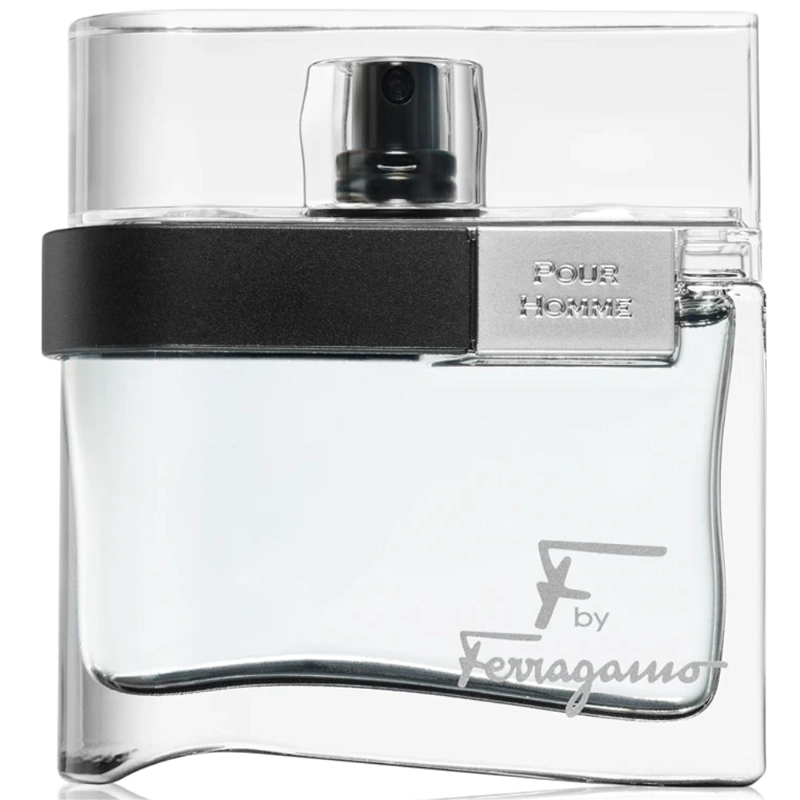 SALVATORE FERRAGAMO BLACK POUR HOMME EDT 100 ML - 2