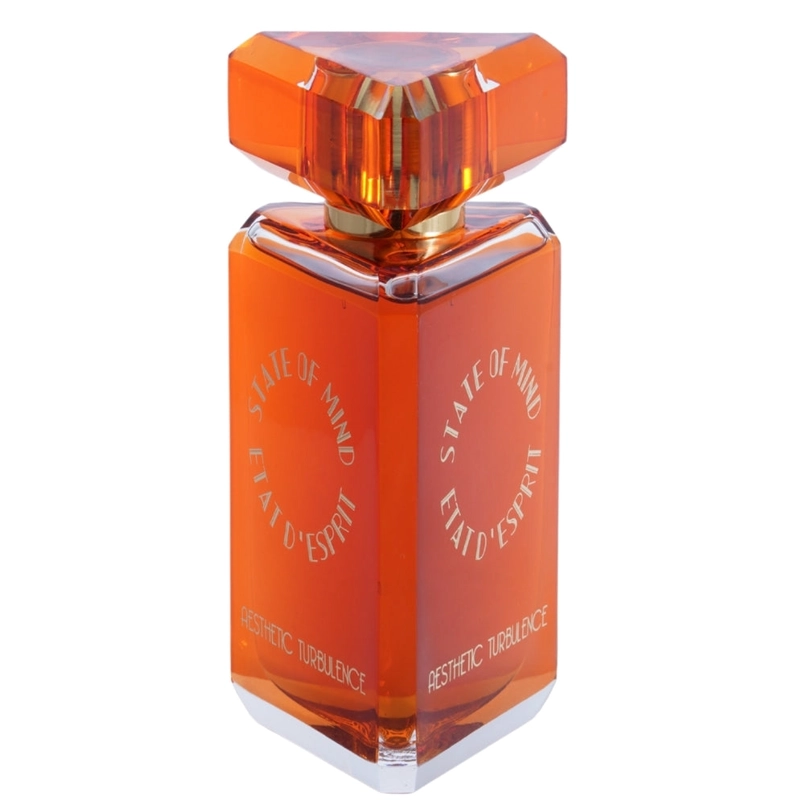 STATE OF MIND AESTHETIC TURBULENCE EDP UNISEX 100 ML - 2